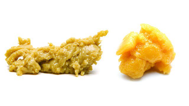 BADDER-LAVA-CAKE - Da Green Corner Weed Delivery The Badder Lava Cake strain is a premium cannabis concentrate that combines the decadence of the Lava Cake strain with the creamy texture of hash rosin badder. Known for its sweet, chocolatey aroma and subtle hints of mint, Lava Cake offers a deeply relaxing high, perfect for unwinding after a long day.