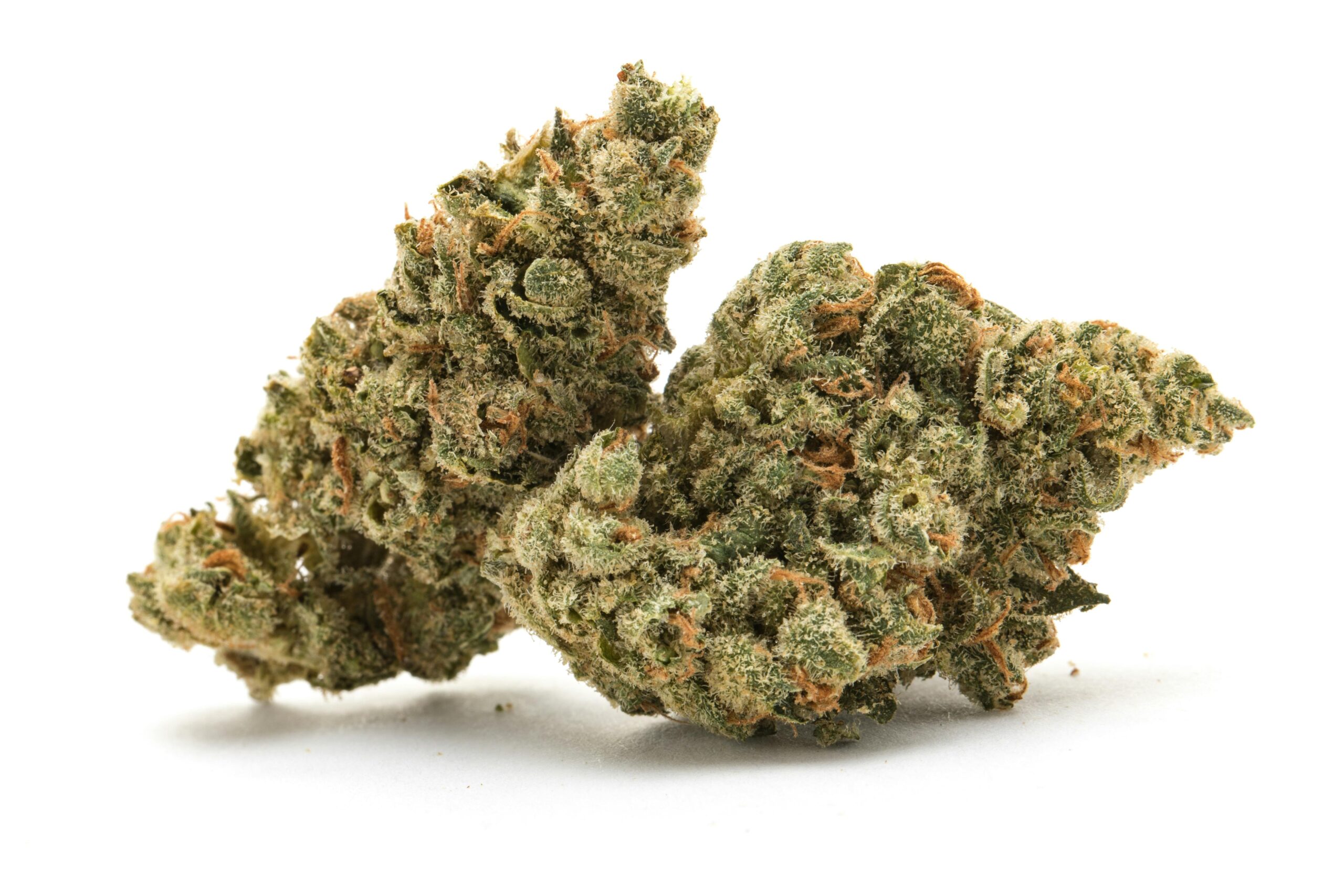 Dead-Head-Og - Da Green Corner Weed Delivery Dead Head OG is a potent indica-dominant hybrid known for its powerful effects and high THC levels. This strain is a cross between Chemdawg 91 and SFV OG Kush, bringing together the best of both parent strains. Dead Head OG typically contains THC levels that range from 27% to 30%, making it an excellent choice for experienced users with a high tolerance looking for a heavy, long-lasting high.