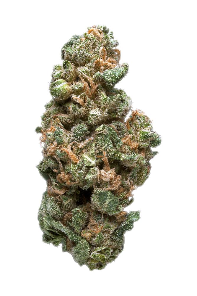 Lambs-Breath - Da Green Corner Weed Delivery Lamb’s Bread is a renowned sativa-dominant cannabis strain known for its uplifting, energizing effects and high THC content. Often regarded as a "cult classic," this strain is cherished by both experienced users and medical patients for its potent effects and unique flavor profile.
