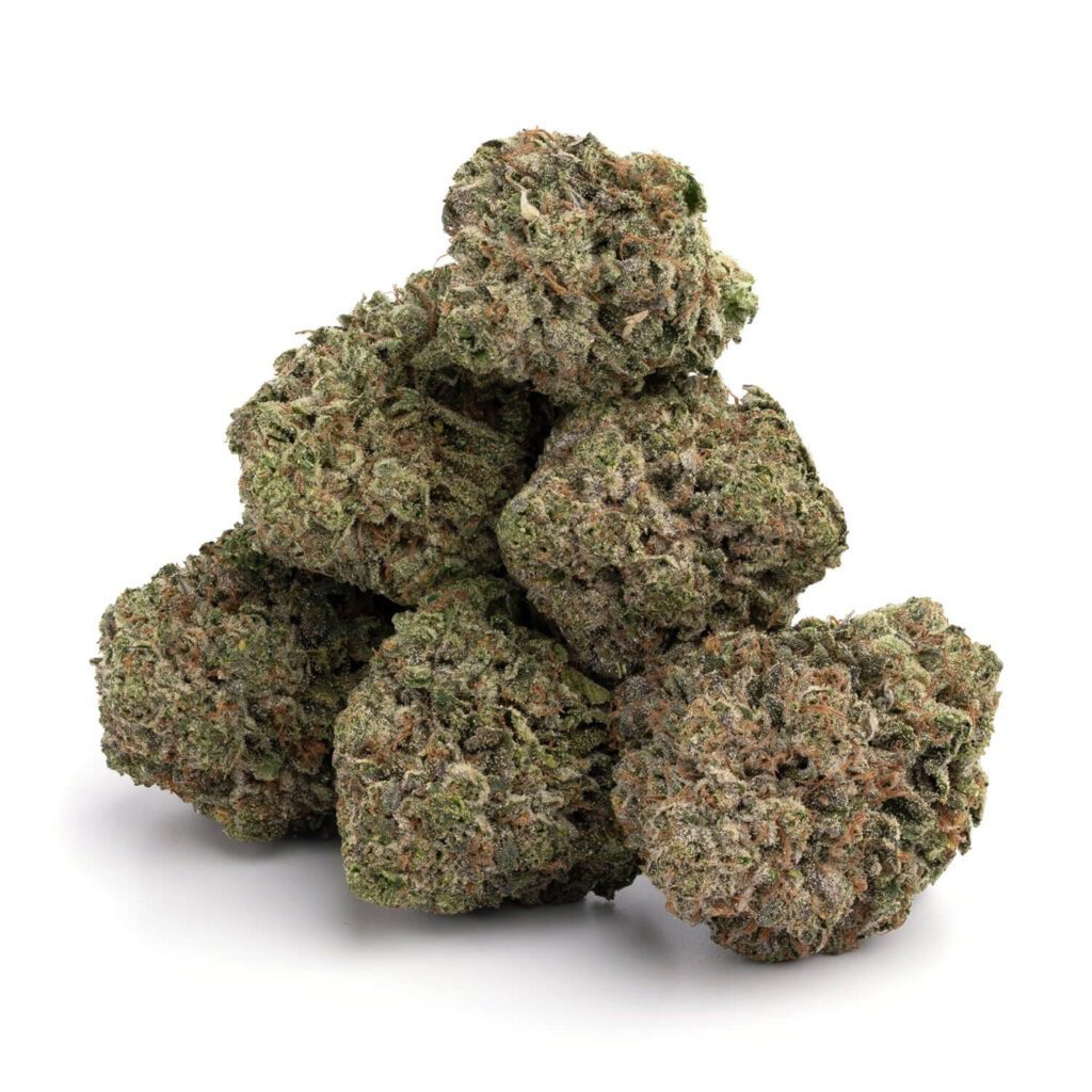 Race-Fuel-OG - Da Green Corner Weed Delivery "Race Fuel OG by Archive Seeds: A premium cannabis strain known for its potent effects and rich, diesel-like aroma. This hybrid offers a powerful blend of relaxation and euphoria, ideal for both recreational and medicinal users seeking relief from stress or pain."