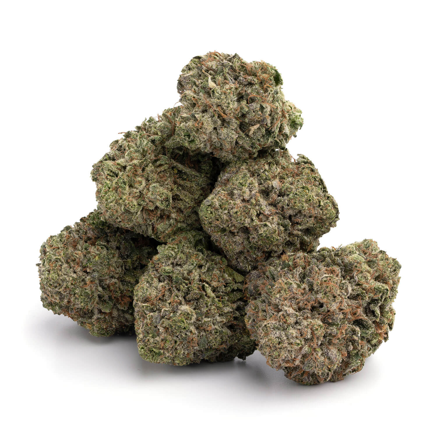 Race-Fuel-OG - Da Green Corner Weed Delivery "Race Fuel OG by Archive Seeds: A premium cannabis strain known for its potent effects and rich, diesel-like aroma. This hybrid offers a powerful blend of relaxation and euphoria, ideal for both recreational and medicinal users seeking relief from stress or pain."