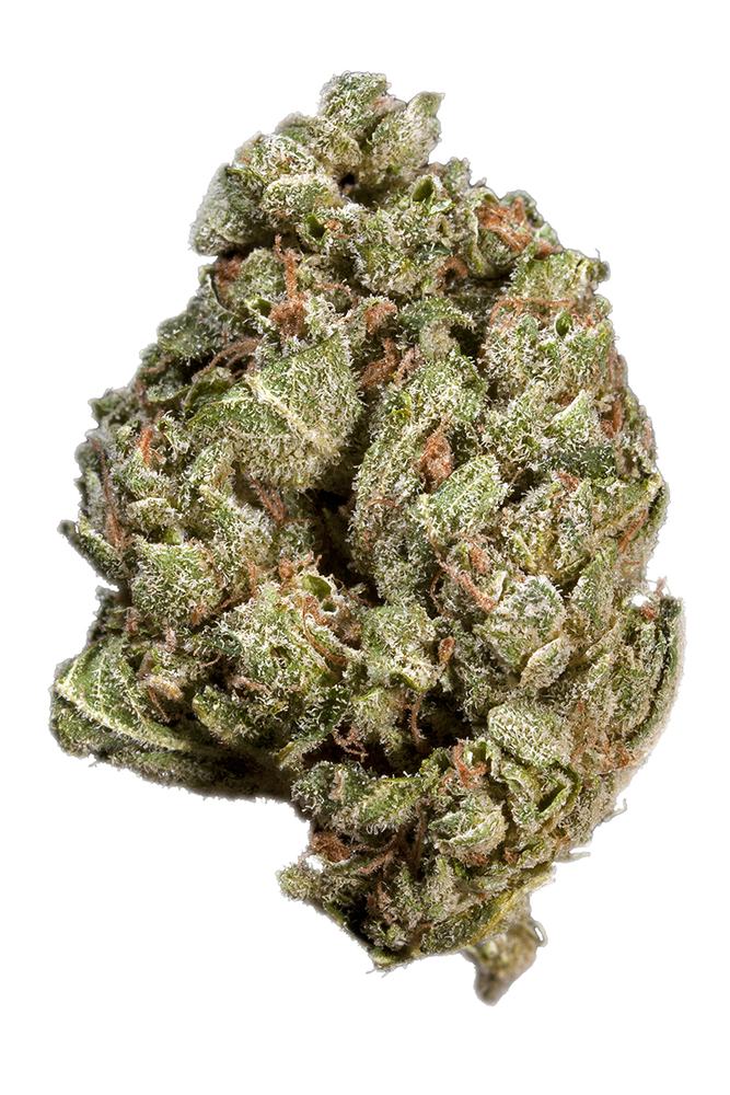 Sour-OG - Da Green Corner Weed Delivery Sour OG is a potent, well-balanced hybrid strain known for its high THC levels, typically ranging from 25% to 30%, making it a top choice for experienced users seeking a strong and long-lasting high. This powerhouse strain is a cross between two legendary cultivars, Sour Diesel and OG Kush, resulting in a unique combination of euphoric cerebral effects and deep body relaxation.