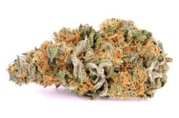 Thunder-Fuck - Da Green Corner Weed Delivery Thunder Fuck Haze is a legendary cannabis strain known for its potent effects and high THC content. Often referred to as "Thunderfuck" or "Alaskan Thunderfuck," this strain is a hybrid with origins tracing back to the Alaskan region, known for its resilience and power. It’s a cross between the Alaskan and Haze strains, bringing together the best of both worlds for a unique and powerful experience.