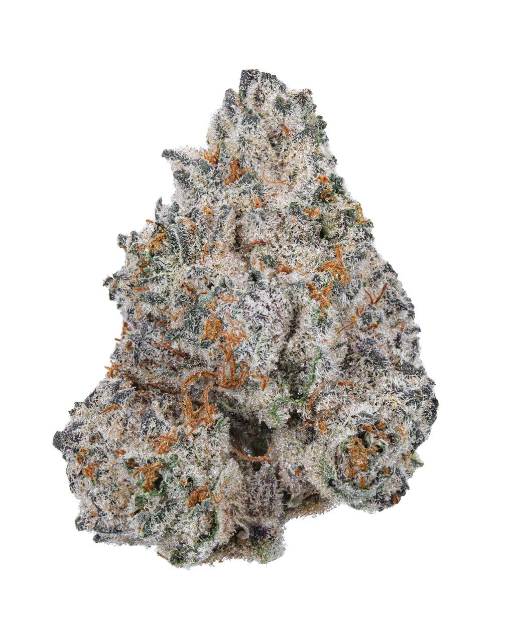 White_Truffle - Da Green Corner Weed Delivery White Truffle (WT) is a premium hybrid cannabis strain known for its potent effects and exceptional flavor profile. With a balanced mix of relaxing body effects and uplifting cerebral euphoria, it’s perfect for both recreational and medicinal use. The buds are dense, with a frosty coating of trichomes, emitting earthy, piney aromas complemented by a subtle sweet, citrusy scent. This strain is favored for its smooth smoke and ability to help with stress, pain relief, and mood enhancement. Ideal for evening use, White Truffle provides a well-rounded, calming experience.