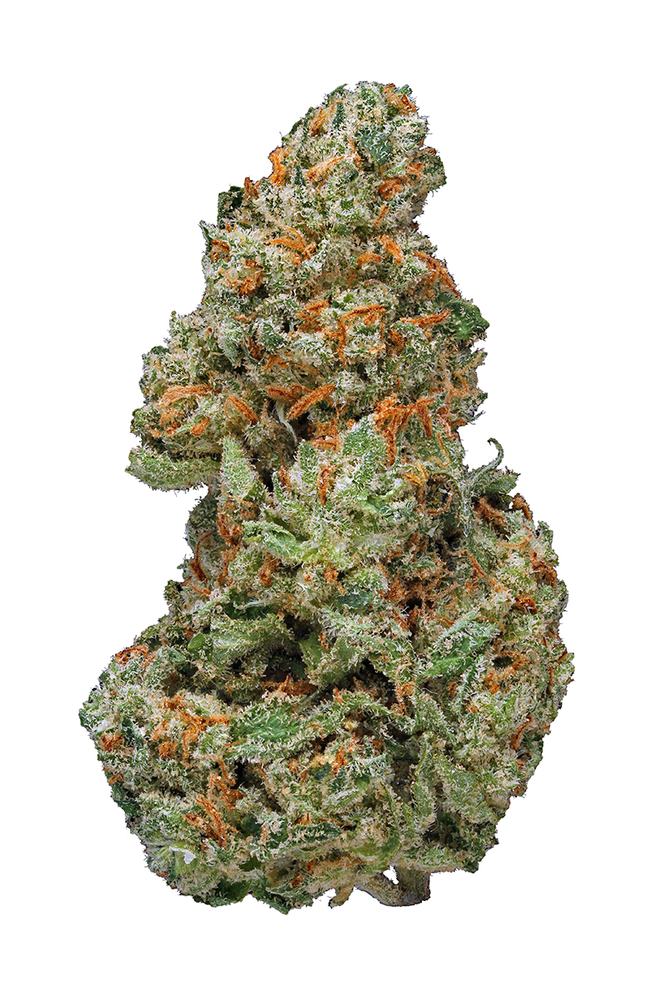 XJ13 - Da Green Corner Weed Delivery XJ-13 is a highly popular hybrid cannabis strain known for its uplifting and euphoric effects, with high THC levels that typically range from 18% to 25%. It’s a cross between the sativa-dominant Jack Herer and the indica G13 Haze, offering a balance of both cerebral stimulation and a mild body relaxation.