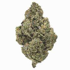 c-4 - Da Green Corner Weed Delivery C-4 is a potent cannabis strain known for its high THC levels, making it a favorite among experienced cannabis users with a high tolerance. This hybrid strain is a cross between Colombian Gold and Northern Lights #5, combining the best of both indica and sativa genetics. With THC levels often reaching up to 25-30%, C-4 delivers a powerful and long-lasting effect that can take you through both cerebral and physical highs.