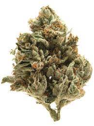 Royal OG (RG) is an indica-dominant cannabis strain known for its potent effects and unique flavor profile. It boasts a relaxing and calming high, making it ideal for evening use or unwinding after a long day. Its aromatic profile includes earthy, piney, and citrus notes, with a hint of spice. The strain is often praised for its ability to relieve stress, anxiety, and insomnia, as well as offering pain relief. The dense buds are typically covered in frosty trichomes, adding to its visual appeal.