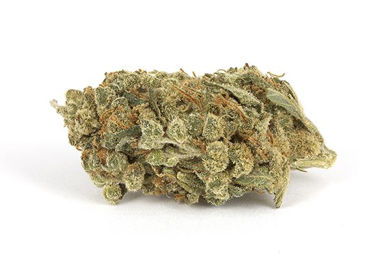 super-skunk - Da Green Corner Weed Delivery Super Skunk (SS) is a potent sativa-dominant hybrid known for its strong skunky aroma, uplifting cerebral effects, and powerful potency. This classic strain is a cross between Skunk #1 and an Afghan landrace, delivering a balanced high that energizes the mind while relaxing the body.